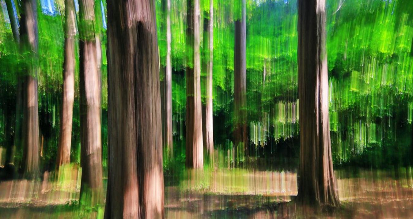 What's ICM Photography And How To Apply It For Your Images?