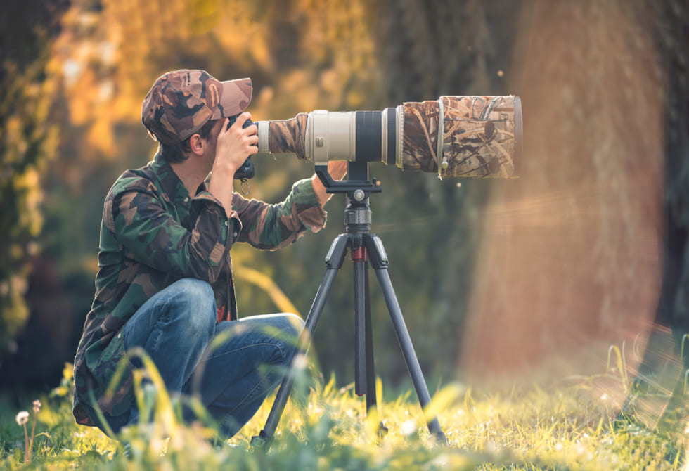 Wildlife Photography Tips And Tricks: A Guide To Masterful Shots ...