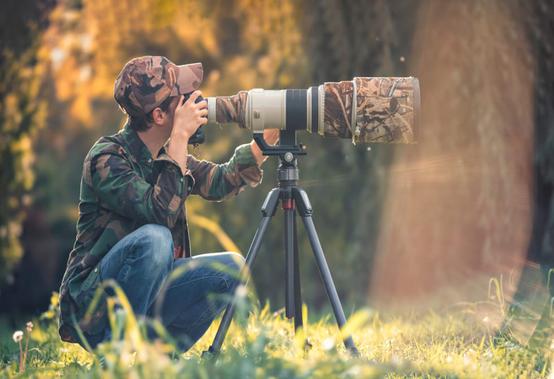 10 Tips For Improving Your Wildlife Photography