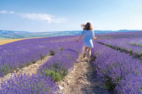 Lavender Field Photoshoot Ideas: From Romantic to Playful