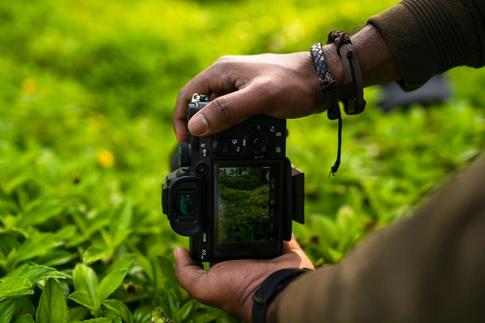 How To Make Money With Nature Photography: 3 Ways