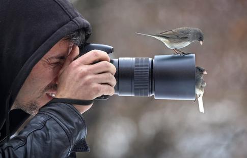 Best Lens For Bird Photography [Top 5]