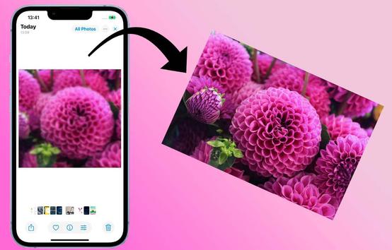 How To Fix Blurry Pictures On iPhone: Easy Guide