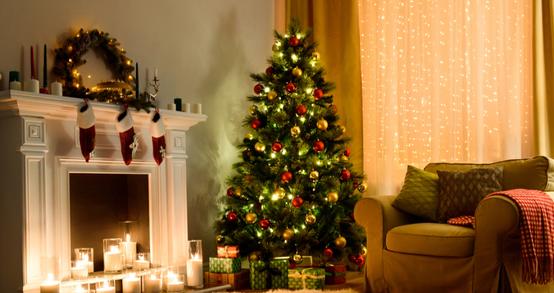 Christmas Tree Photography Tips You Can’t Miss This Year