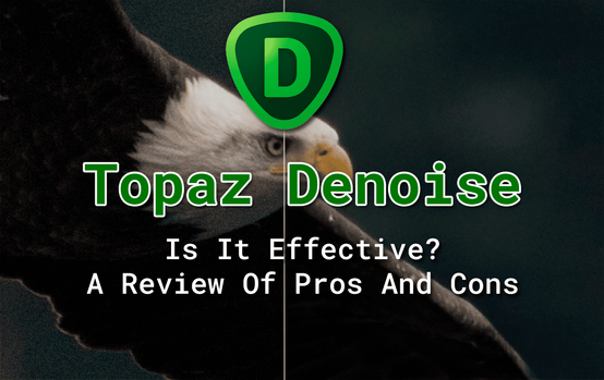 Topaz Denoise: Is It Effective? A Review Of Pros And Cons