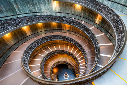 Golden Ratio Examples Found In The World Around Us