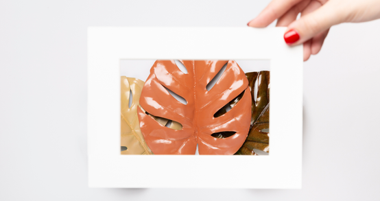 How Big Is 4x6 Photo (CM & MM, Pixels, Inches)