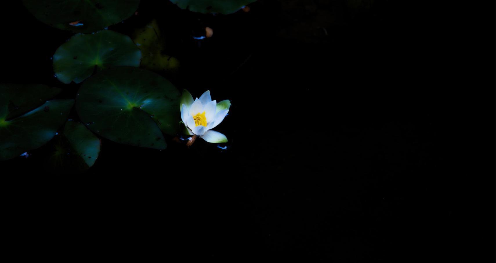 5 consigli fotografici per uno stile dark