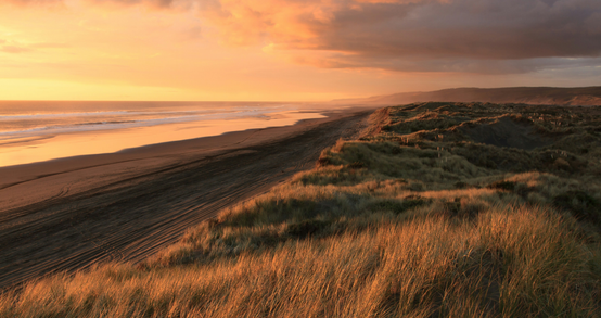 What Is Golden Hour: How to Use It for Perfect Shots