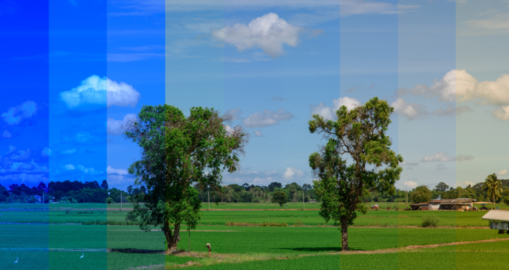 What Is White Balance In Photography: Understanding Its Role