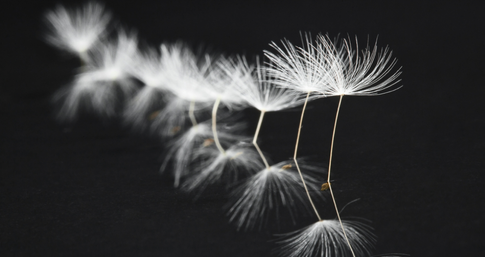 What Is Fine Art Photography: Secrets Of Unique Visuals