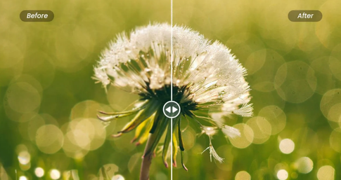 What Is Image Sharpening And Why Is It So Important?