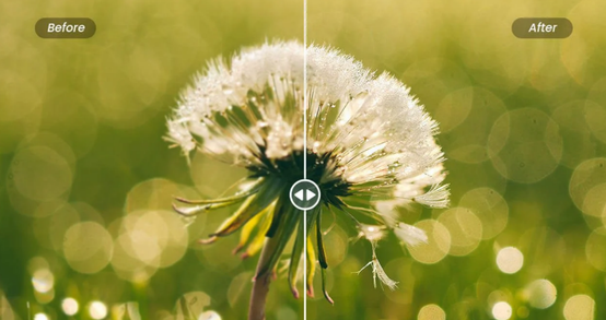 What Is Image Sharpening And Why Is It So Important?