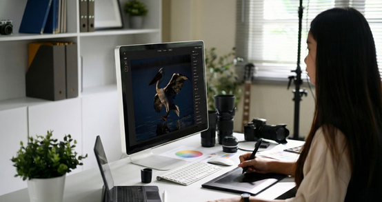 Best Photo Editing Software For Wildlife Photography