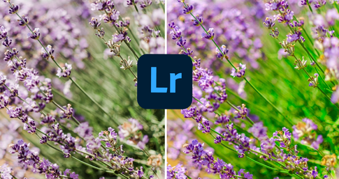 Best Presets For Lightroom That Feel Right On Any Photo Style