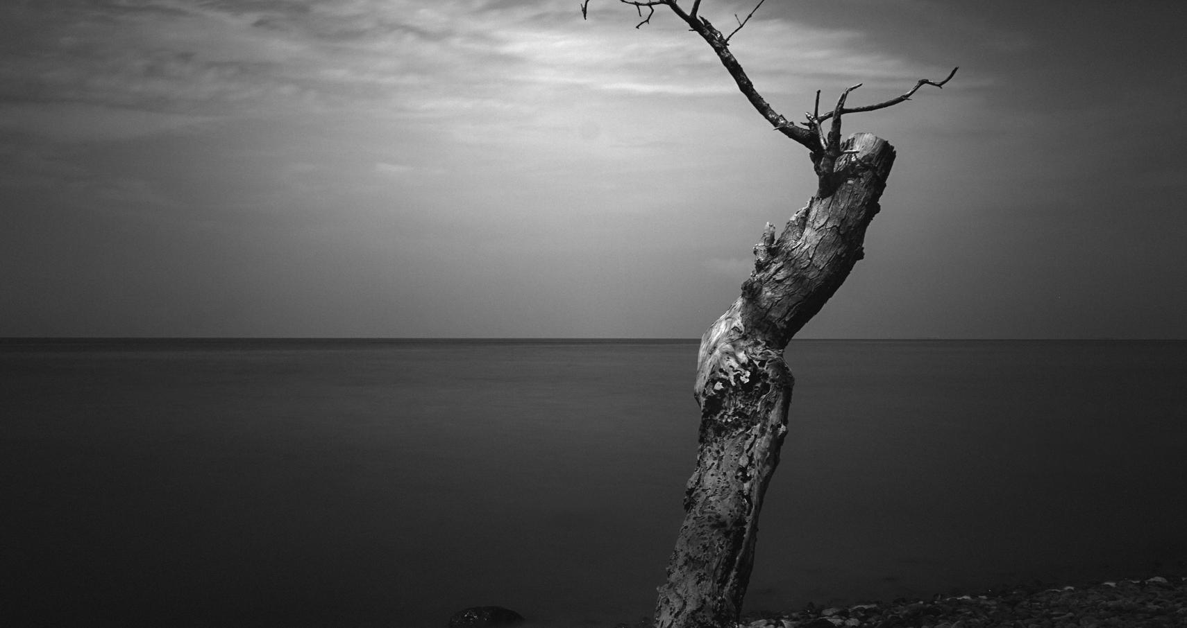 Fine Arts Photography Ideas fine-arts-photography-ideas