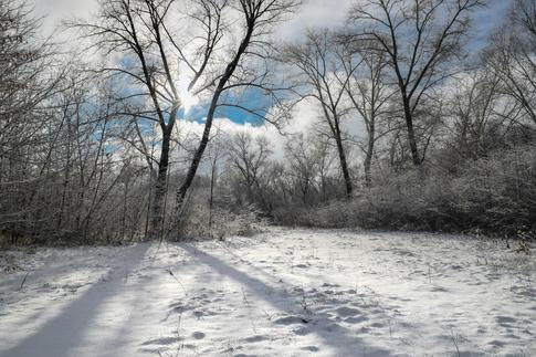 A Short Guide to Winter Photography