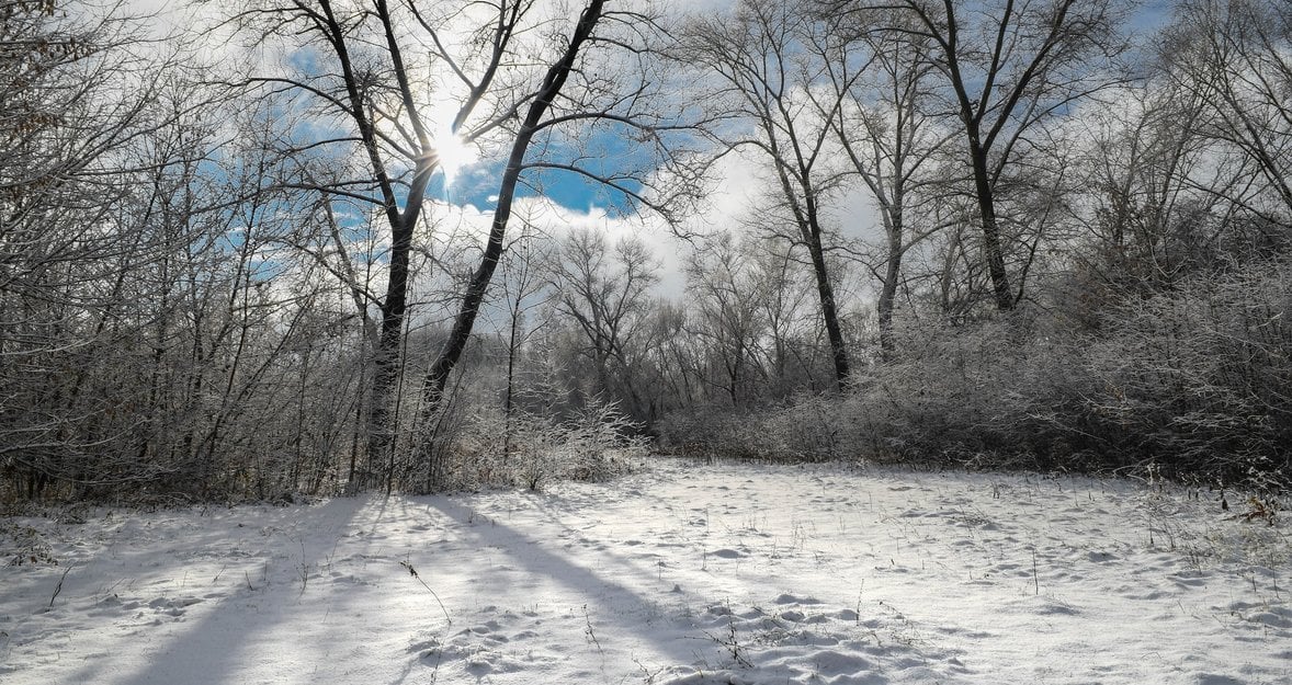 A Short Guide to Winter Photography
