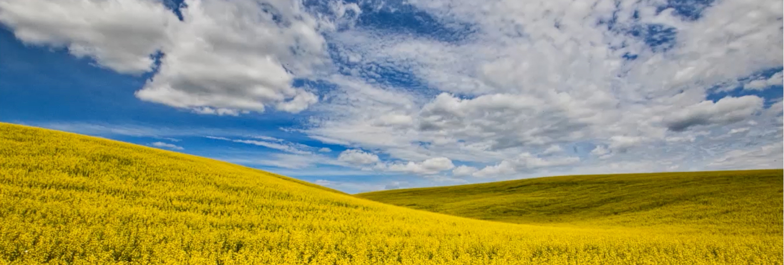 Video Using Raw Capture for Landscape Photography Skylum Blog