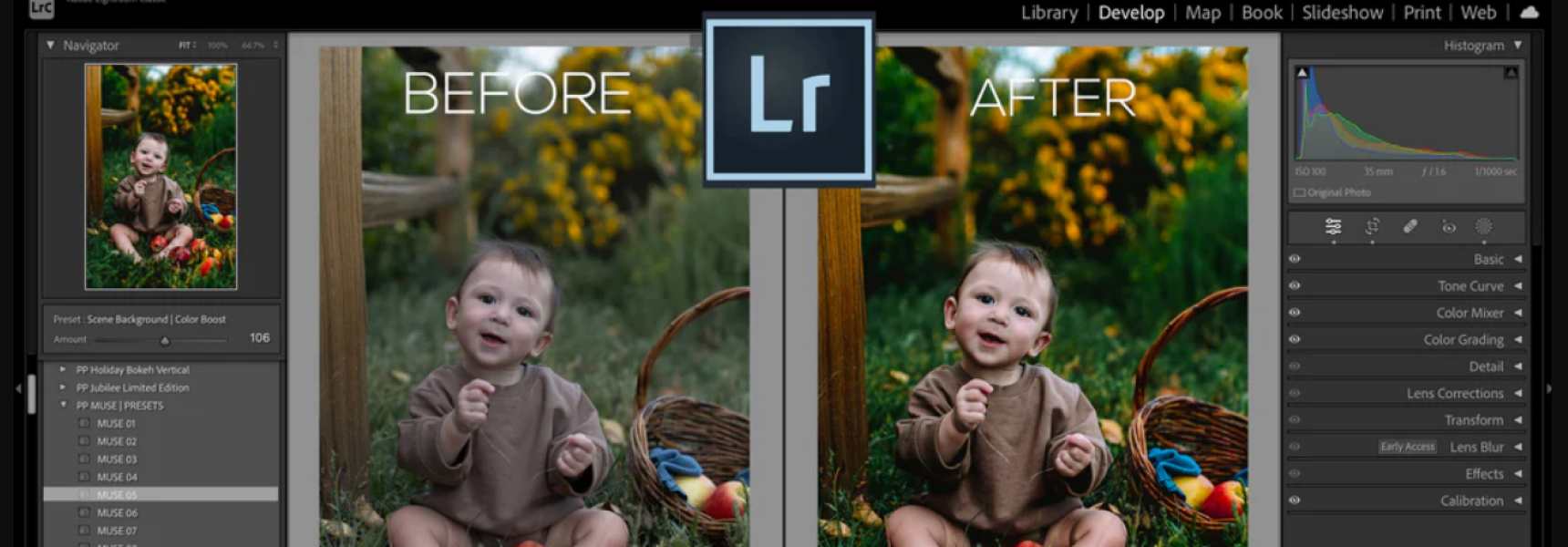 How To Create Lightroom Presets: 3 Ways