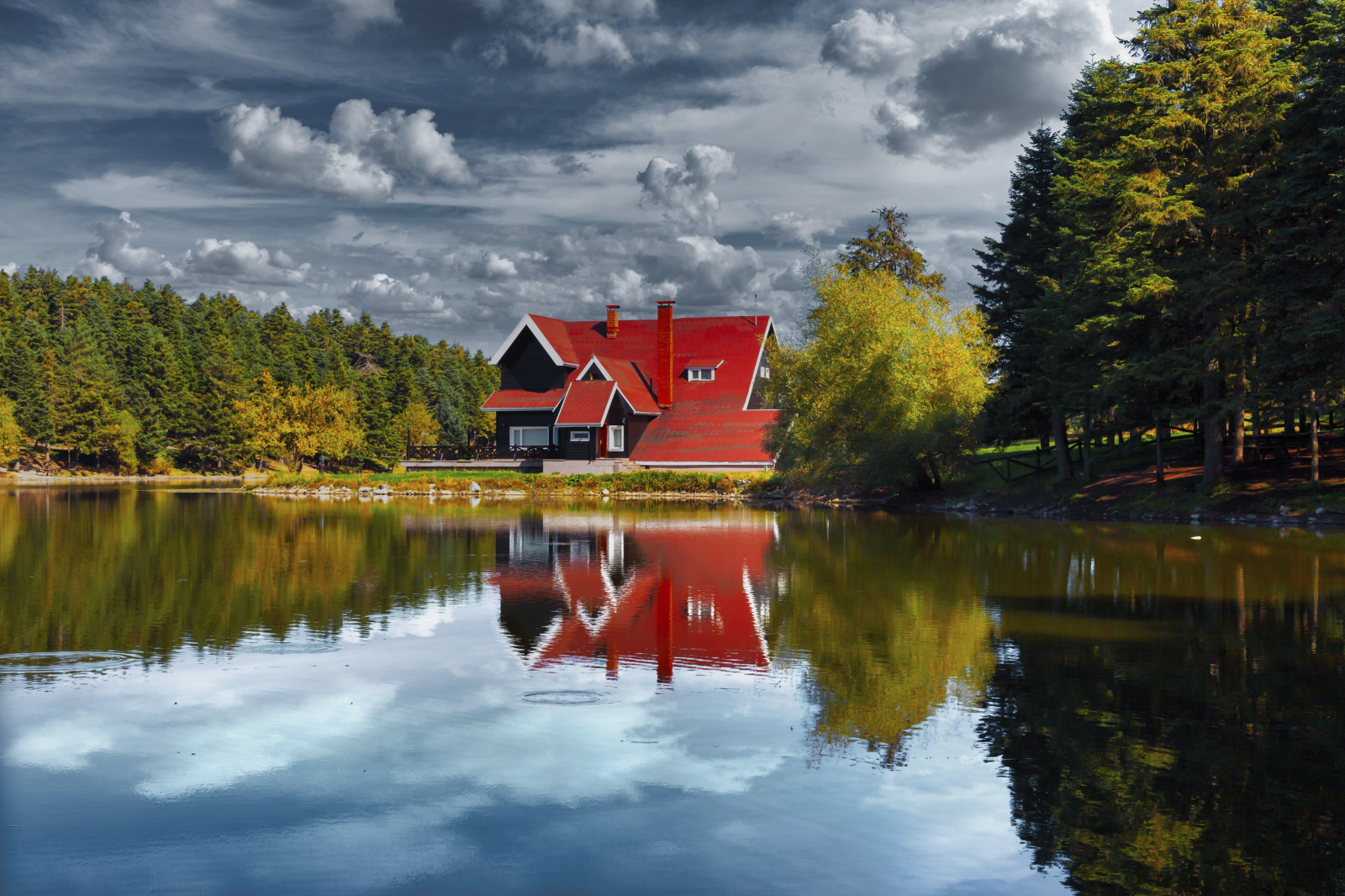 Buy Luminar | Skylum(417)