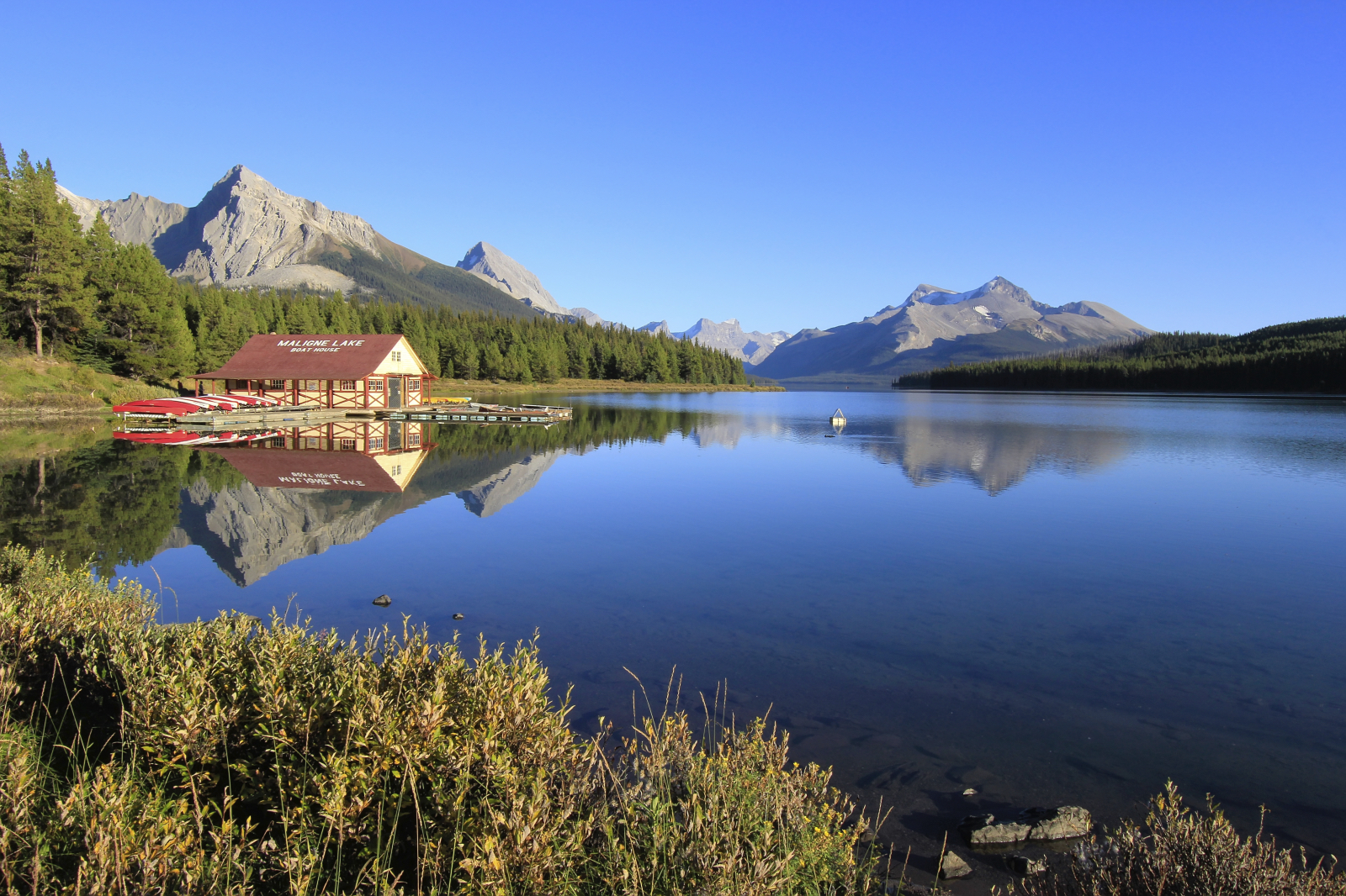 Buy Luminar | Skylum(414)