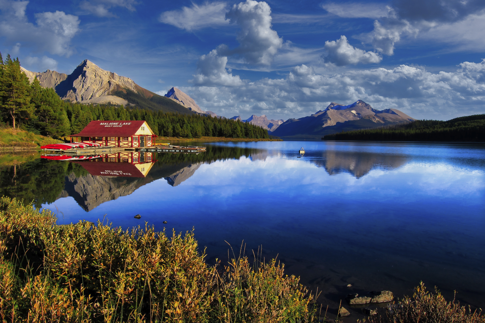 Buy Luminar | Skylum(415)