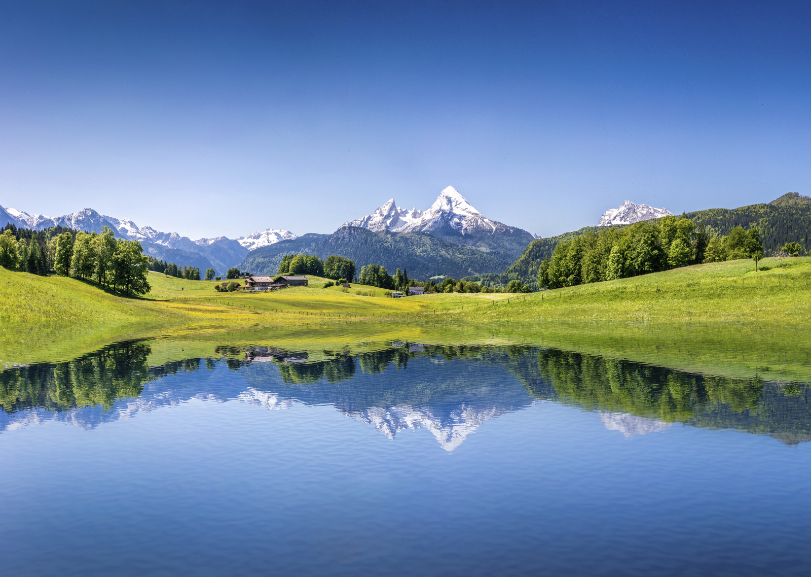 Buy Luminar | Skylum(412)