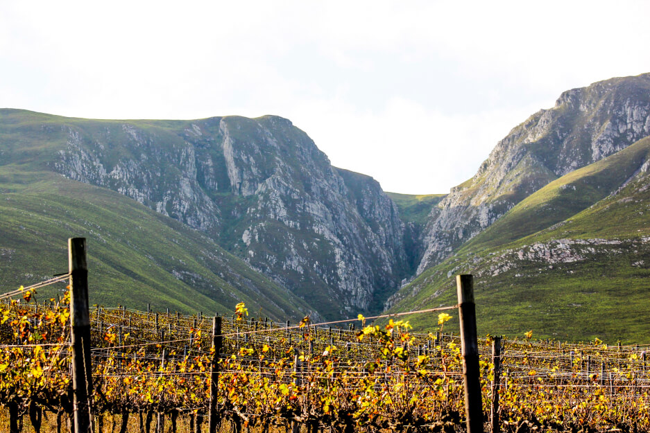 Buy Luminar | Skylum(418)