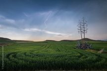 Luminar Neo — Brand-New Product Preorder!(13)