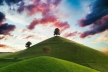 Luminar Neo — Brand-New Product Preorder!(53)