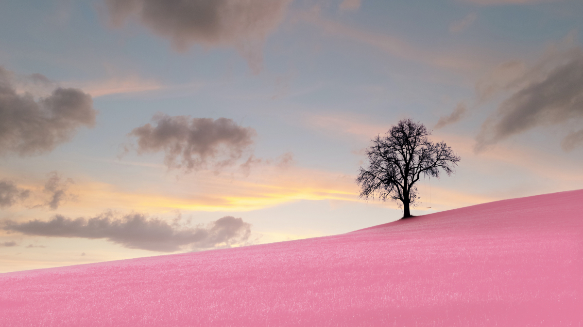 Photo Editor For Beginners | Luminar Neo(79)