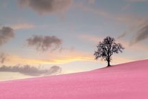 Luminar Neo — Brand-New Product Preorder!(49)