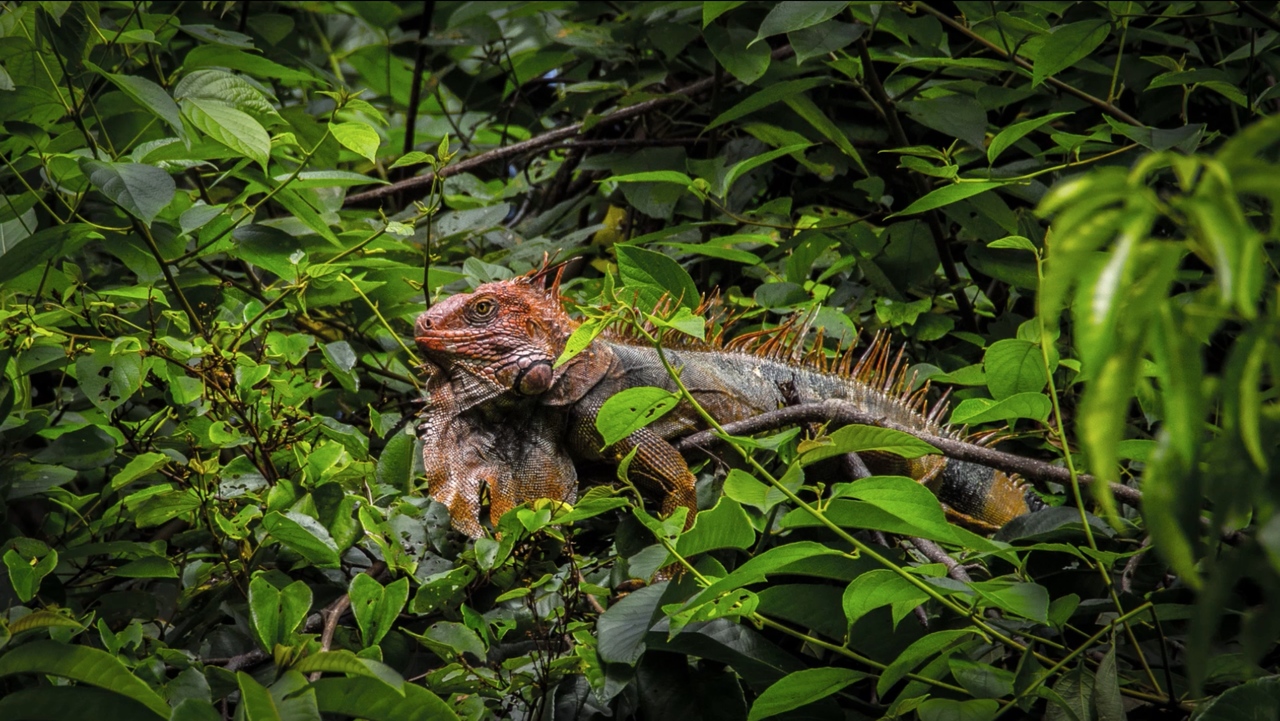 Photography Education | Skylum(17)