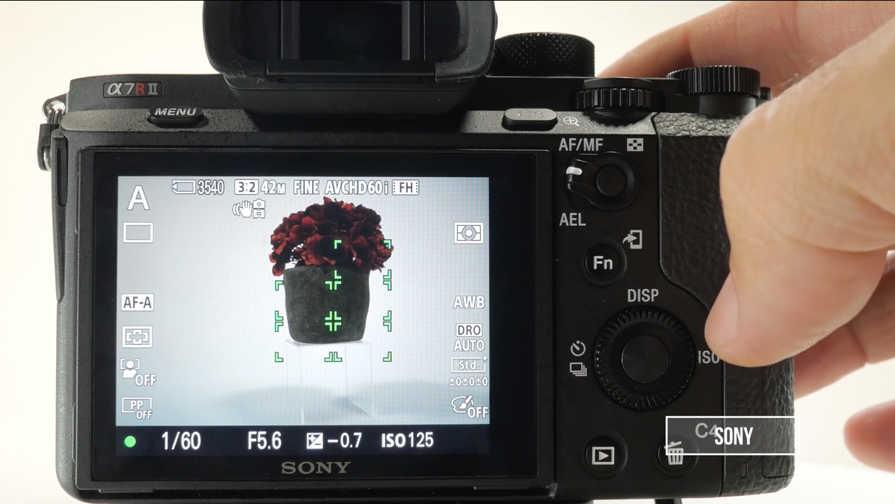 Photography Education | Skylum(7)