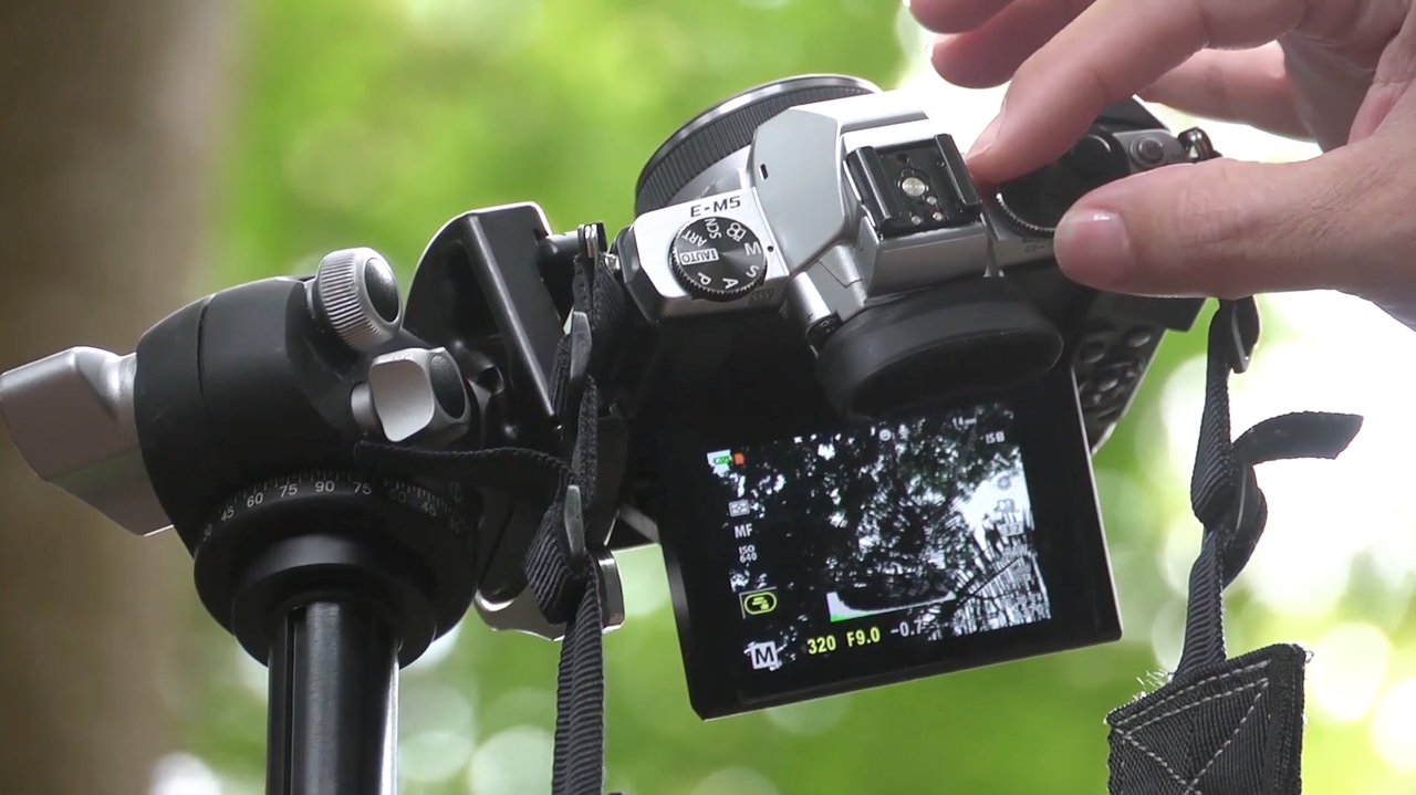 Photography Education | Skylum(4)