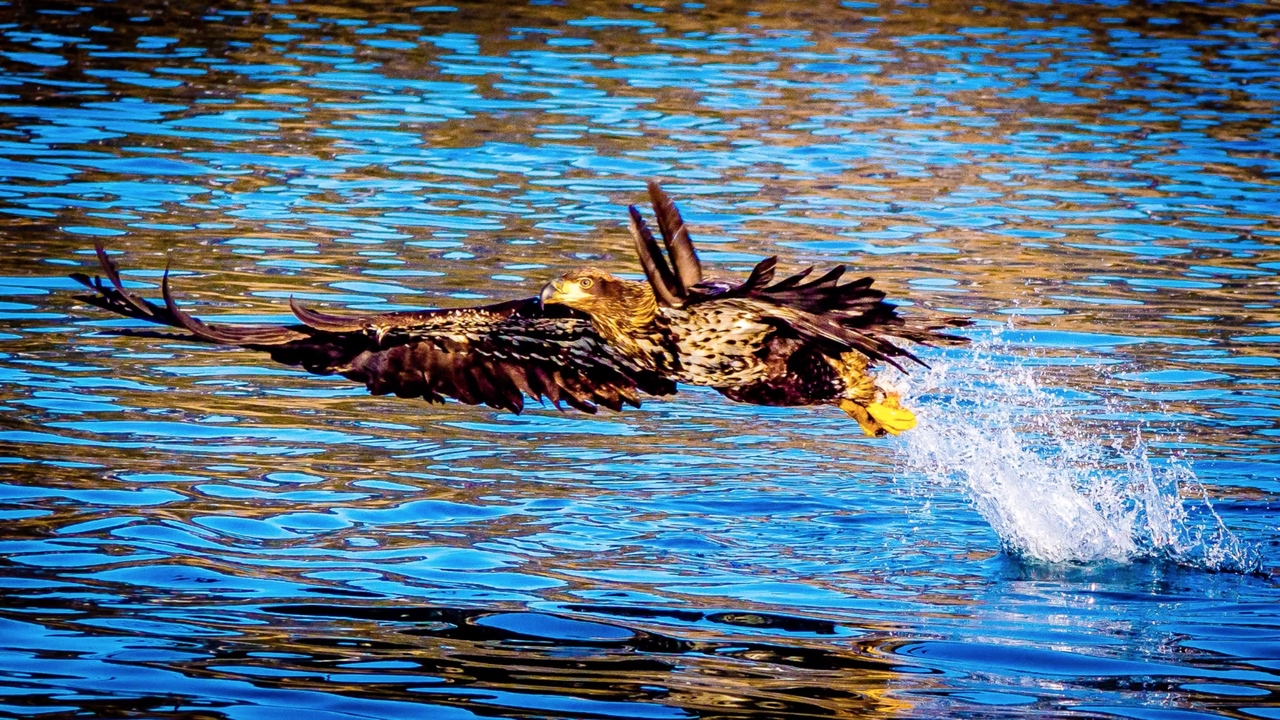 Photography Education | Skylum(10)