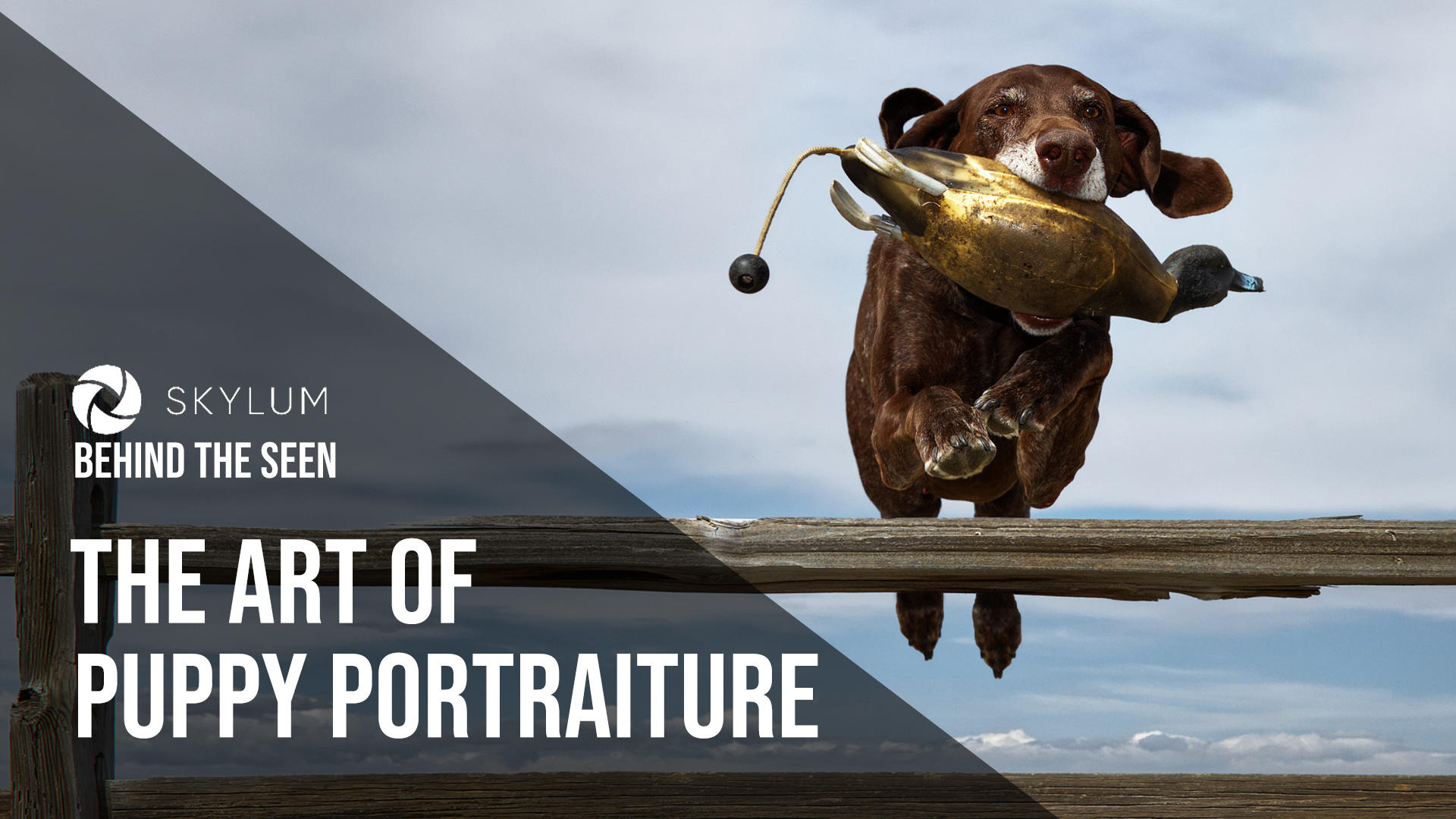 EP 10: A Look Inside FStoppers.com (23)