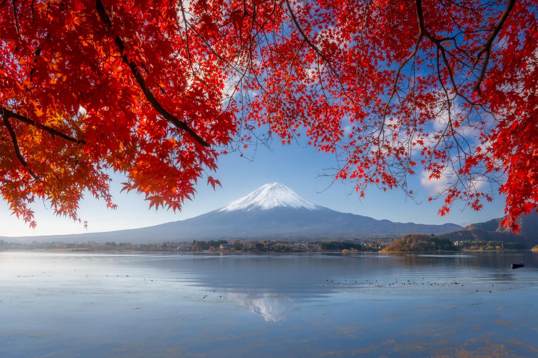 Japan Photo Tour: Kyoto, Tokyo, Osaka by Luminar Team