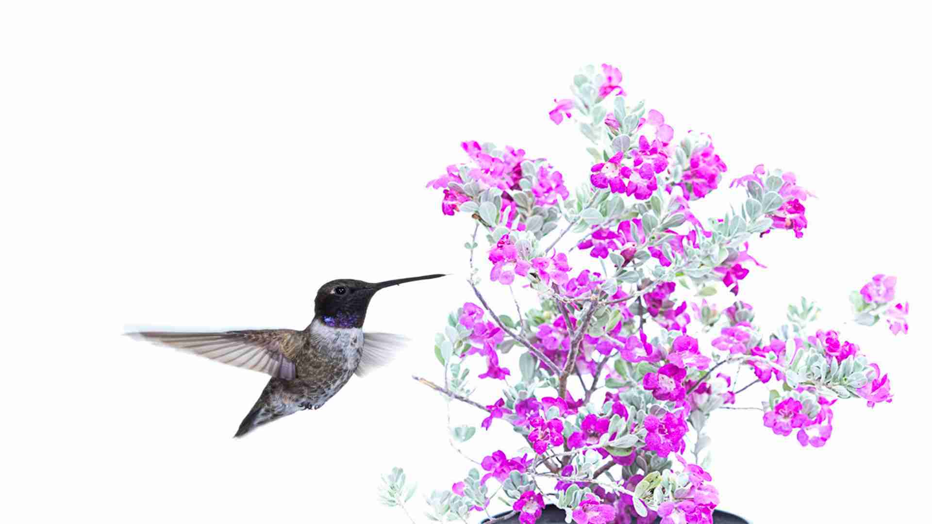 Quickly Create a Beautiful Composite From Two Images