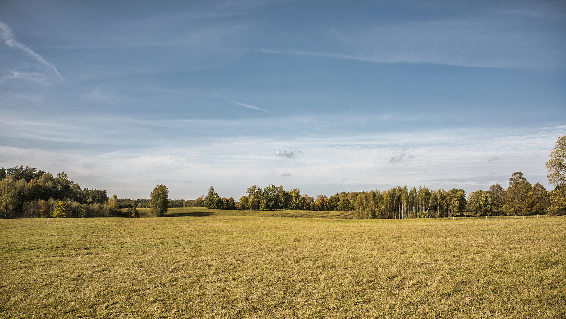 Buy Luminar | Skylum(265)