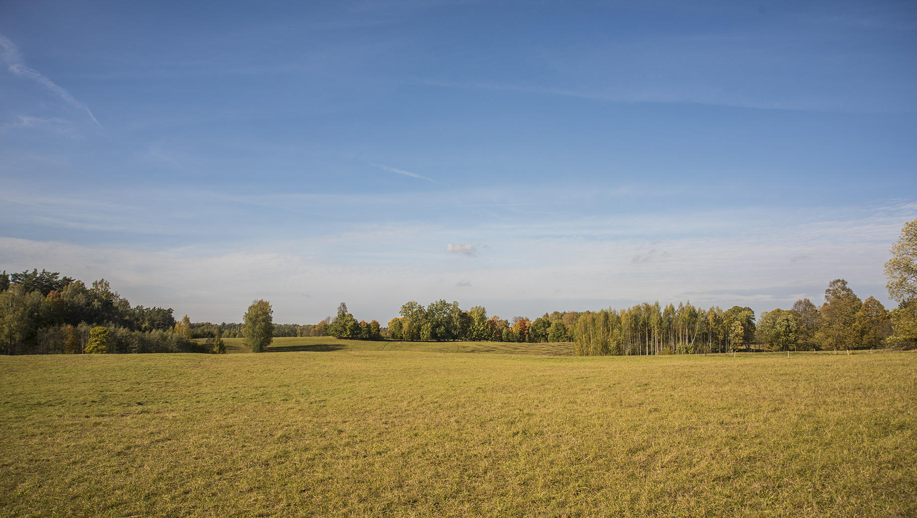 Buy Luminar | Skylum(264)