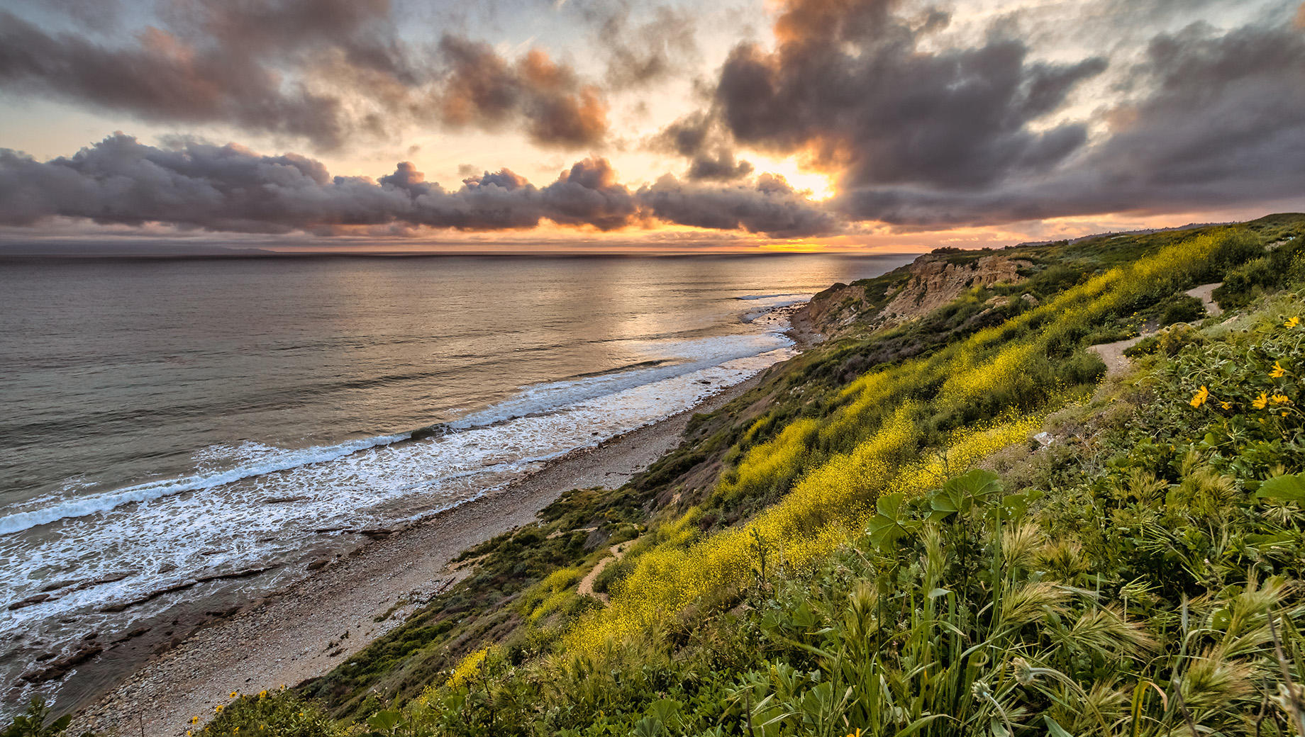 Buy Luminar | Skylum(269)