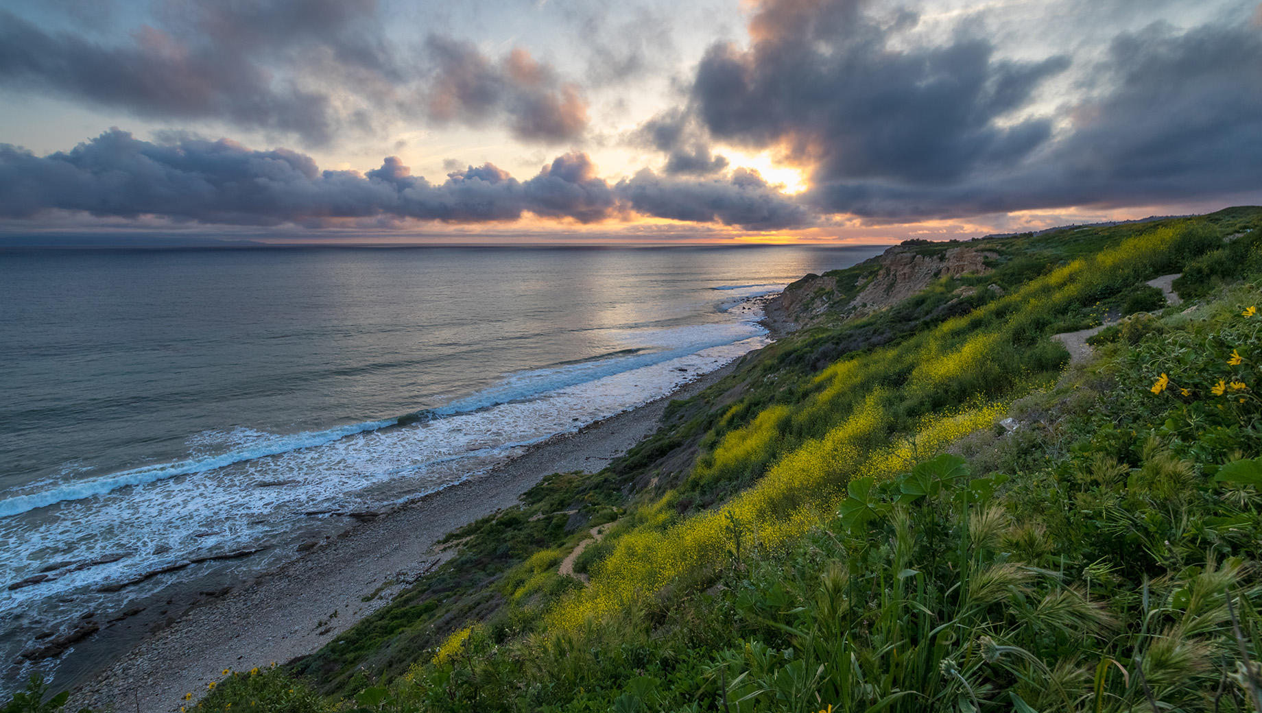 Buy Luminar | Skylum(268)