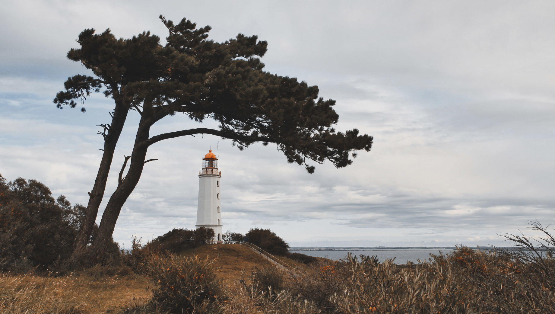 Buy Luminar | Skylum(259)