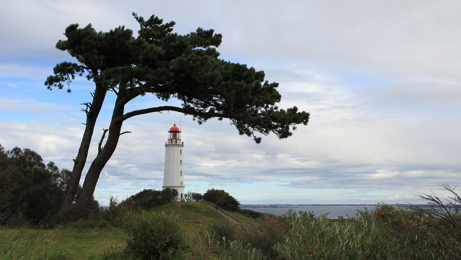 Buy Luminar | Skylum(258)