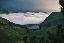Luminar Neo — Brand-New Product Preorder!(111)