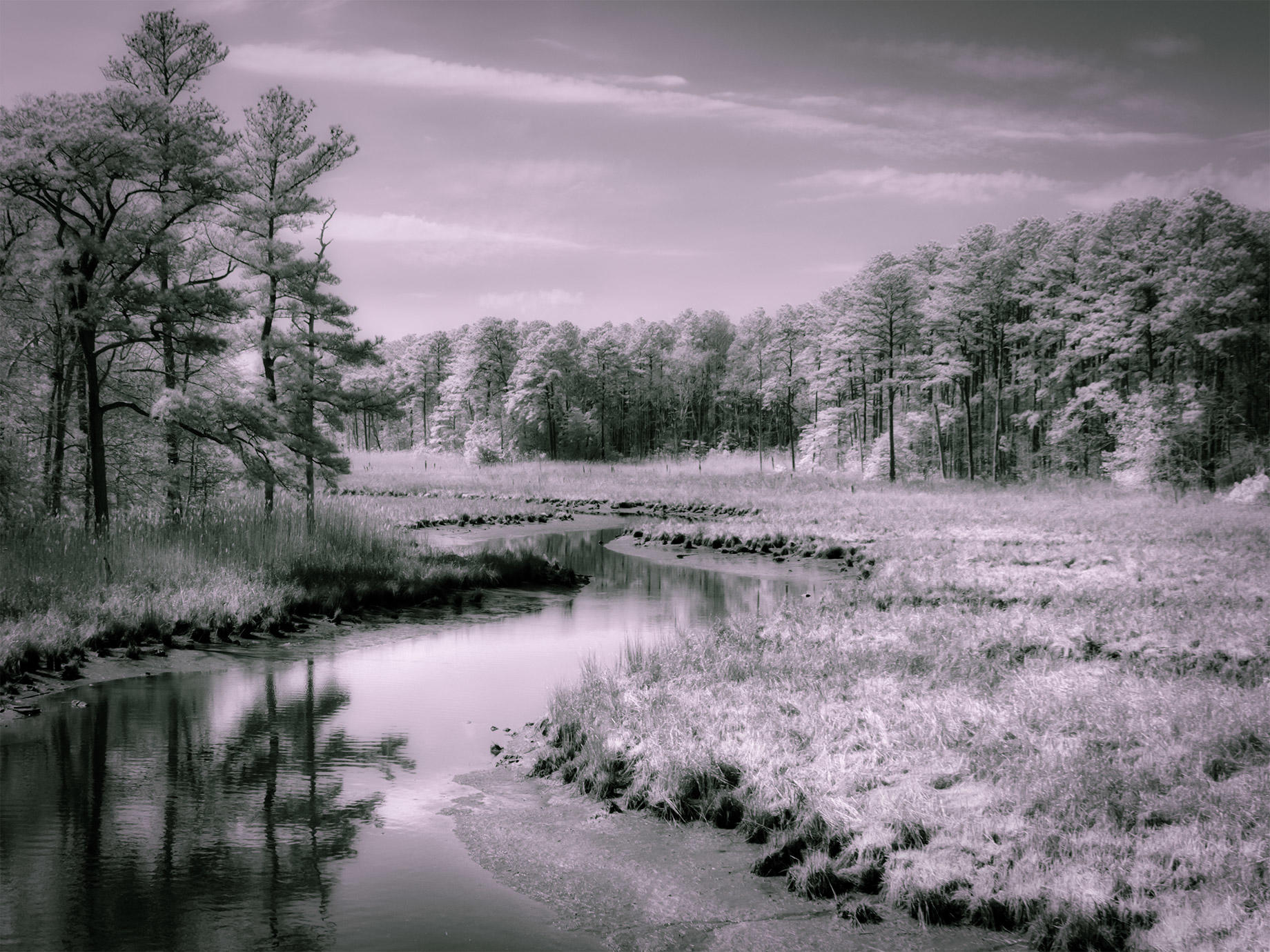 software for infrared photography mac software for infrared photography mac