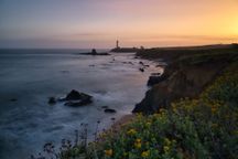 Luminar Neo — Brand-New Product Preorder!(135)