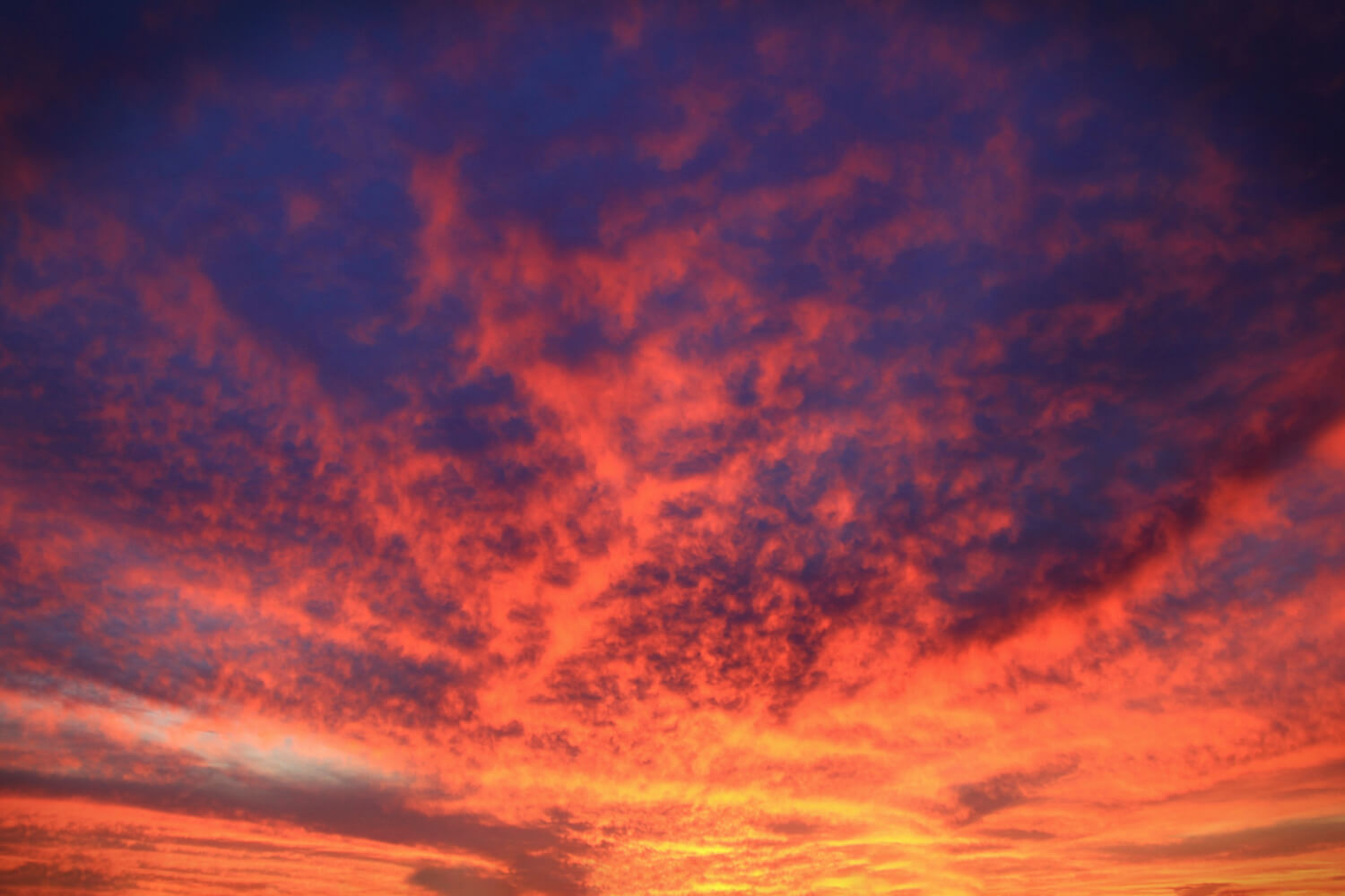 Vibrant Sunrise and Sunset Skies | Luminar Marketplace(53)